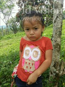 Choose a child to sponsor, like this little girl from Maya, Kimberly Magdalena age 3