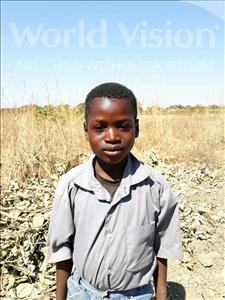 Choose a child to sponsor, like this little boy from Keembe, Shadreck age 8