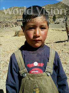 Choose a child to sponsor, like this little boy from Mosoj P'unchay, Primitivo age 5